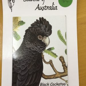 Black Cockatoo Magnet