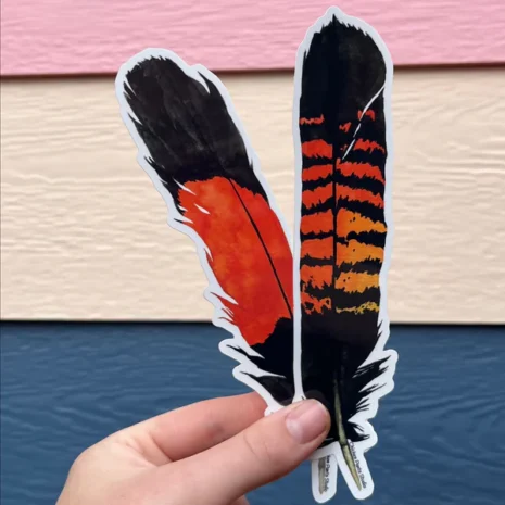 Female and Male Feather Stickers 2