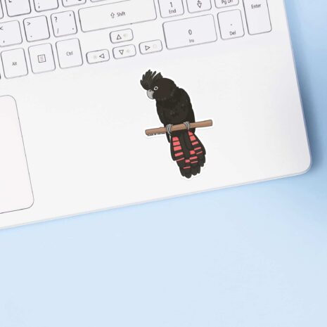 black-cockatoo-laptop
