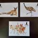 Wildlife Postcards
