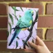 Mulga Parrot Sketchbook 2