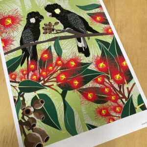 Carnaby’s Cockatoos on Gum A4 Print