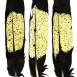 Yellow-Tailed Feather Print