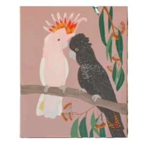 Red-Tailed Black Cockatoo with Pink Cockatoo A3 Print
